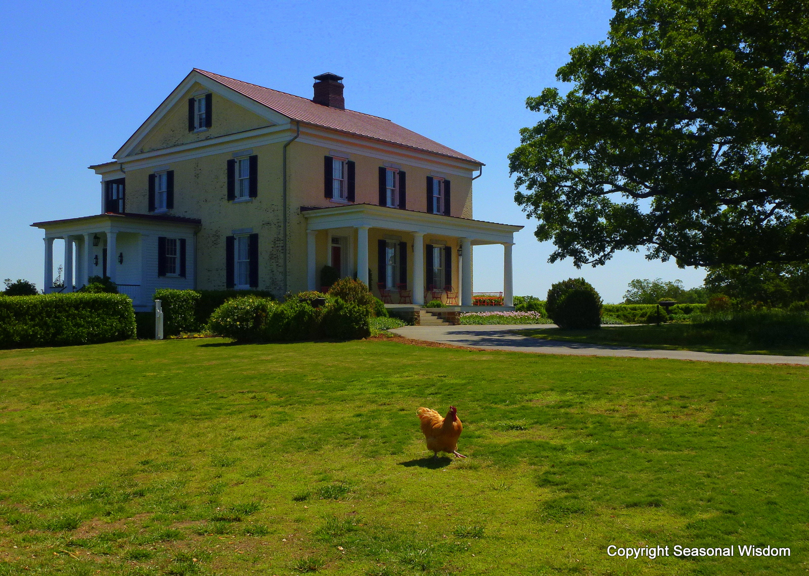 Take A Tour Of P Allen Smith S Garden