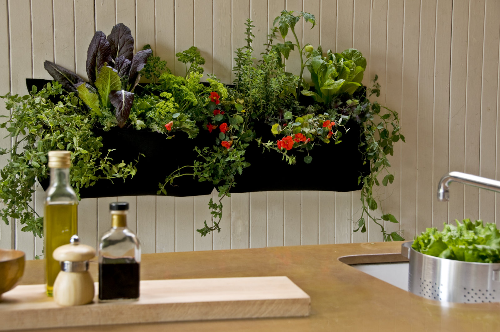 kitchen wall plant idea